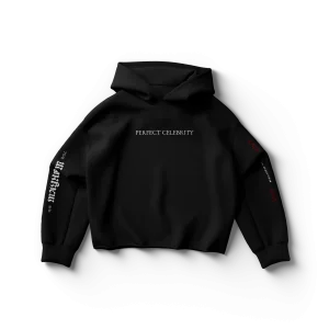 Perfect Celebrity Black Hoodie